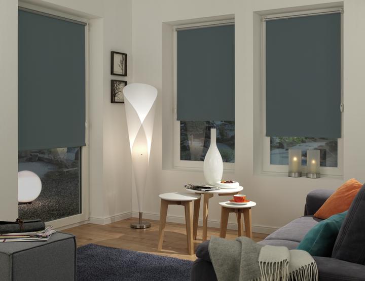 Image du produit Gardinia Store thermique (40 x 150 cm)