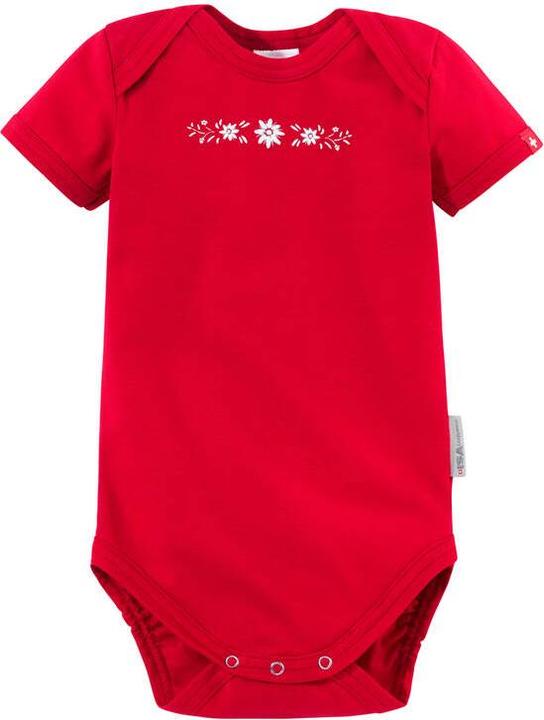 Image du produit ISA Bodywear Schwinger collection (62, 63, 64, 65, 66, 68)