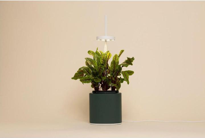 Actual product image Prêt à Pousser Herb Pot Nano, Forest Green (13.50 cm)