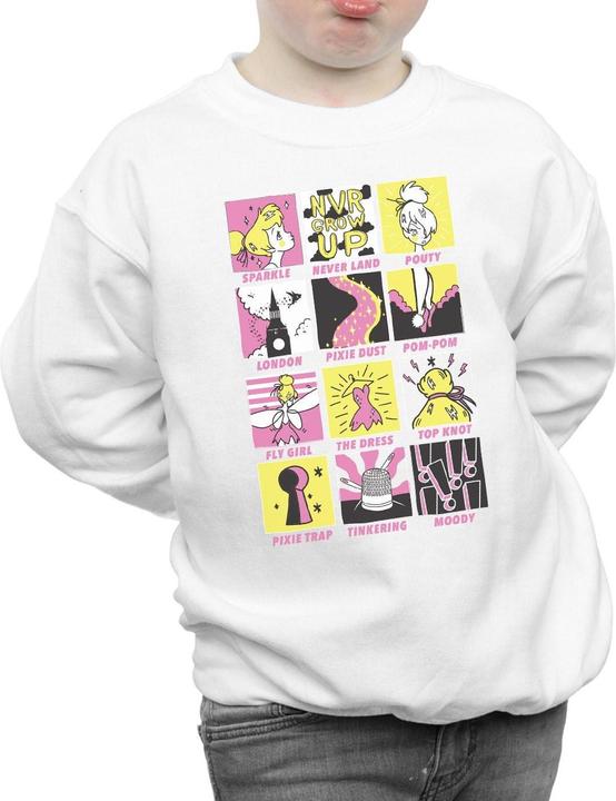 Produktbild Disney Tinkerbell Squares Sweatshirt Jungen (140, 146)