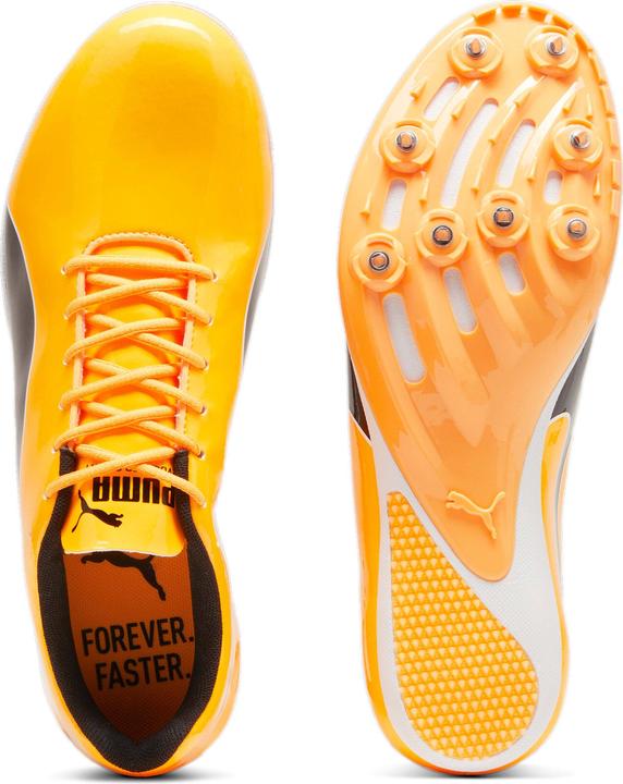 Image du produit Puma chaussures d'athlétisme evospeed sprint 14 (47)