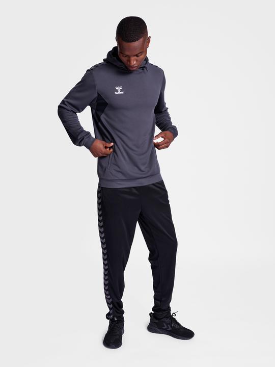 Actual product image hummel Hmlauthentic Pl Hoodie (M)