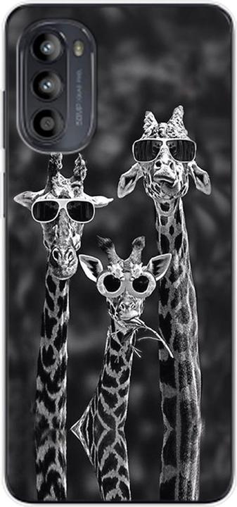 3 giraffes