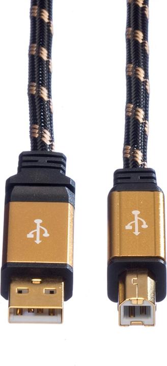 Actual product image Roline Gold USB 2.0 (3 m, USB 2.0)