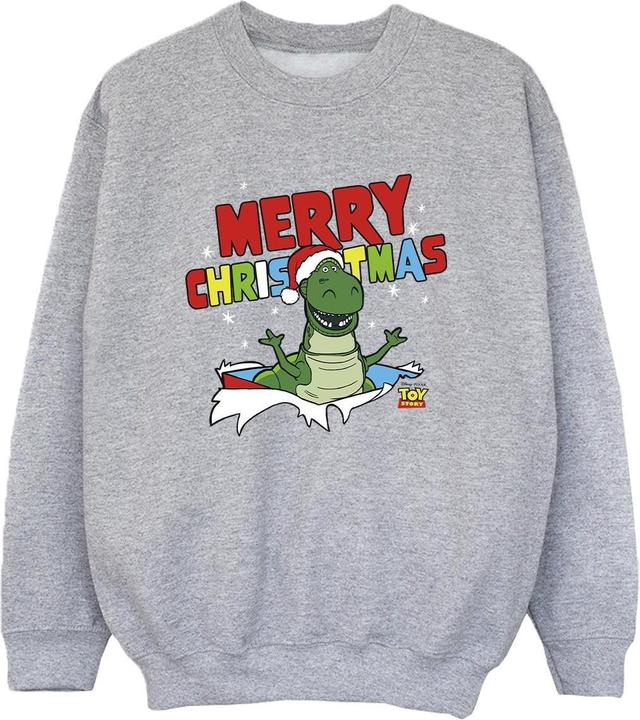 Actual product image Disney Boys Toy Story Rex Christmas Burst Sweatshirt (116)