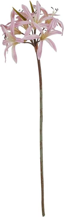 Actual product image Hill Interiors The Natural Garden Collection Lily Stem Artificial Flower (61 cm)
