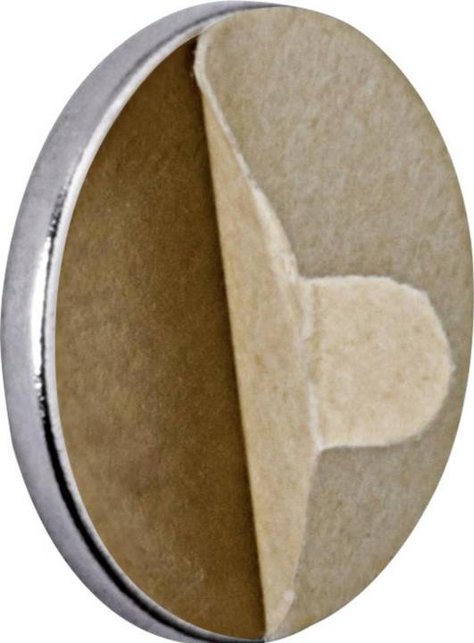 Actual product image Maul Neodymium holding magnet (20 x)