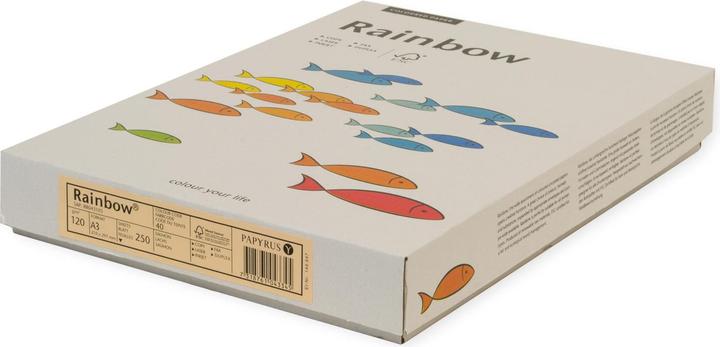 Immagine prodotto Papyrus Rainbow FSC A3 120g light cham. (120 g/m², 250 x, A3)