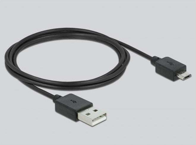 Actual product image Delock HDMI to (USB-C, 16 cm)