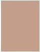Actual product image Dior Forever Skin Correct (1.5N Neutral)