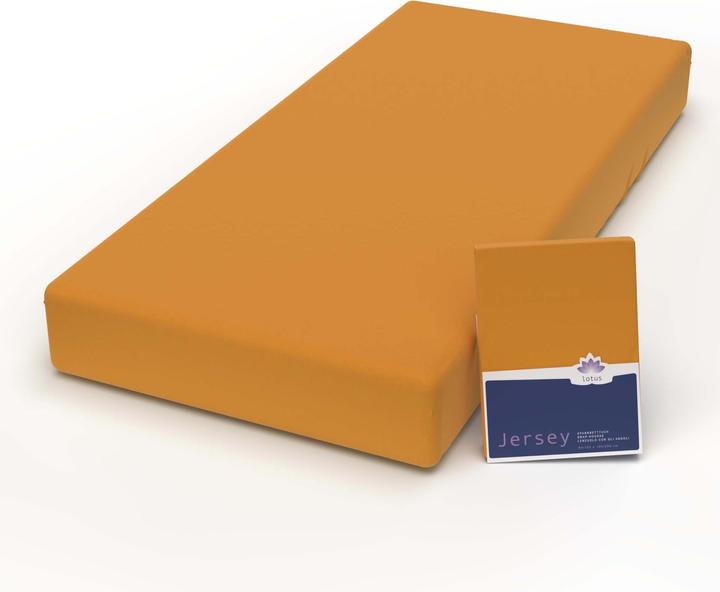 Actual product image Lotus Bettwaren Jersey Fix Comfort (180 x 200 cm)