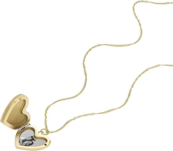 Image du produit Fossil Collection De Locket (Acier inoxydable, 40 - 46 cm)