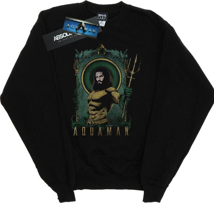 Image du produit - Sweat AQUAMAN FRAMED TRIDENT - Garçon (152, 158)