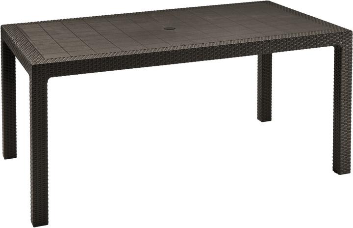 Allibert 204122 (160.50 cm)