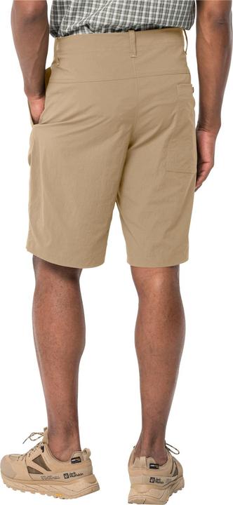 Actual product image Jack Wolfskin Desert Shorts M (48, S)