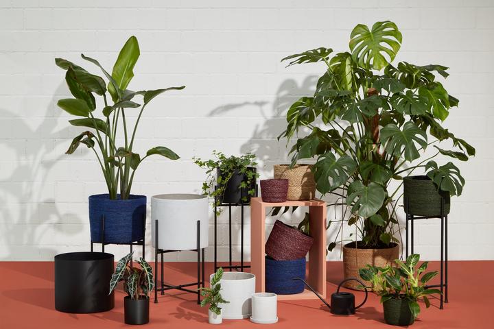 Actual product image micasa Elea