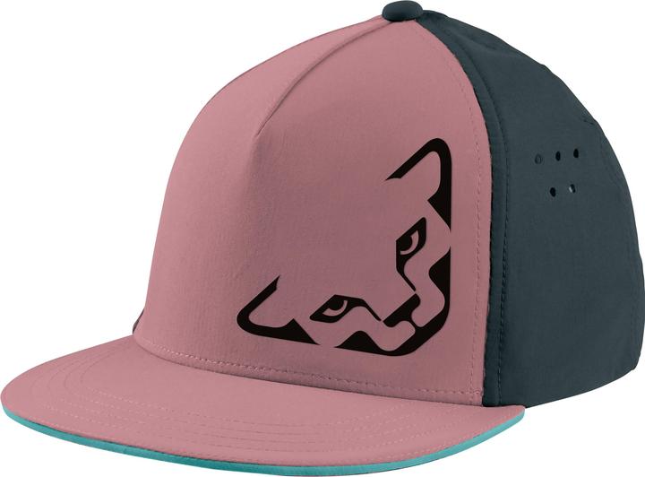 Dynafit Tech Trucker Cap (58)