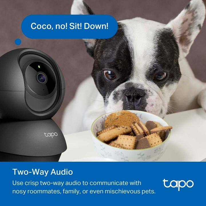 Actual product image TP-Link Pan/Tilt Wi-Fi Camera (1920 x 1080 Pixels)