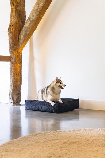 Produktbild Designed by Lotte Liegekissen (Hund)