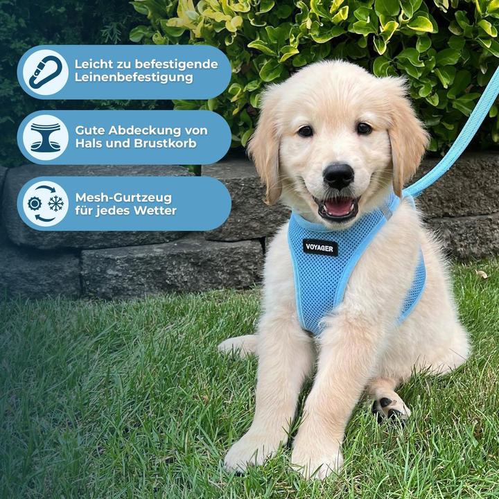 Image du produit Voyager Hundegeschirr (M, Chien)