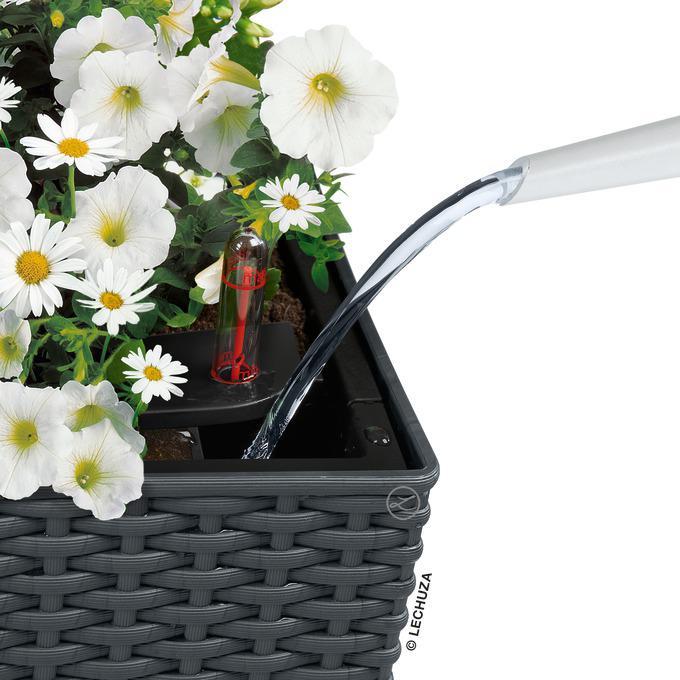 Produktbild Lechuza Balconera Cottage (19 cm)