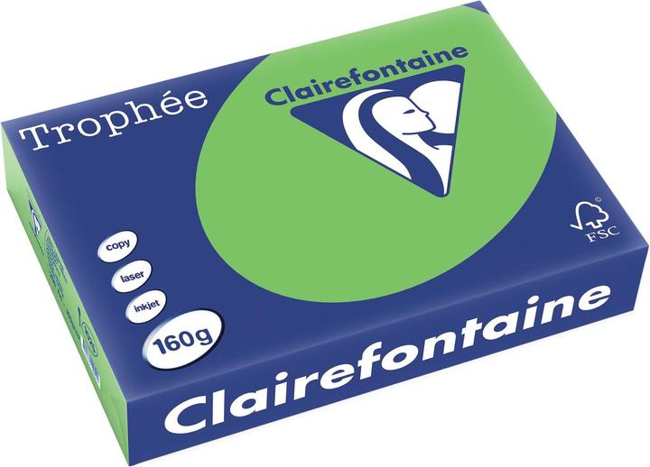 Immagine prodotto Clairefontaine Trophée (160 g/m², 250 x, A4)