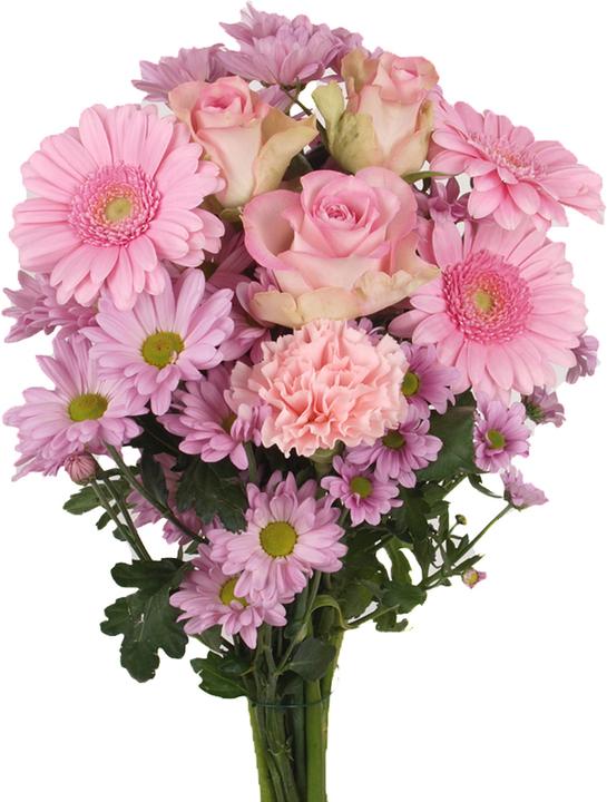 Actual product image Floramall Happy Day pink (Cut flowers)