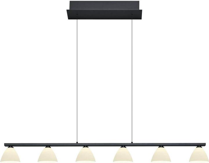 Image du produit Hell Mona Lampe suspendue G9 5x Noir 20575/6-06 (G9)