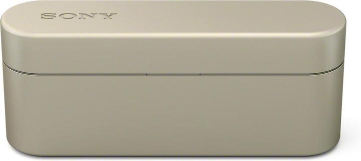 Produktbild Sony Wf-1000x (ANC, 3 h, Kabellos)