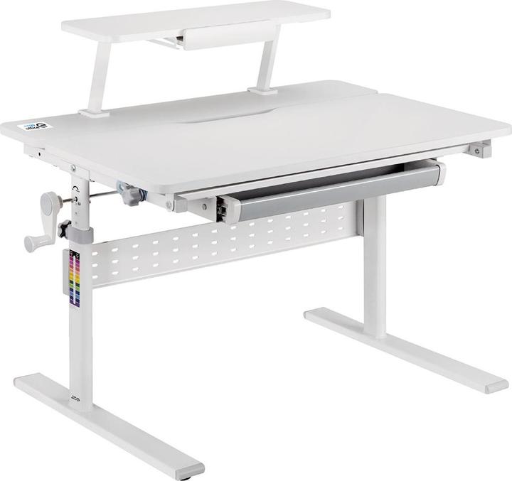 Actual product image Ergo Office Kinderschreibtisch höhenverstellbar grau max 40kg 900x600mm ER-483 (900 x 600 mm)