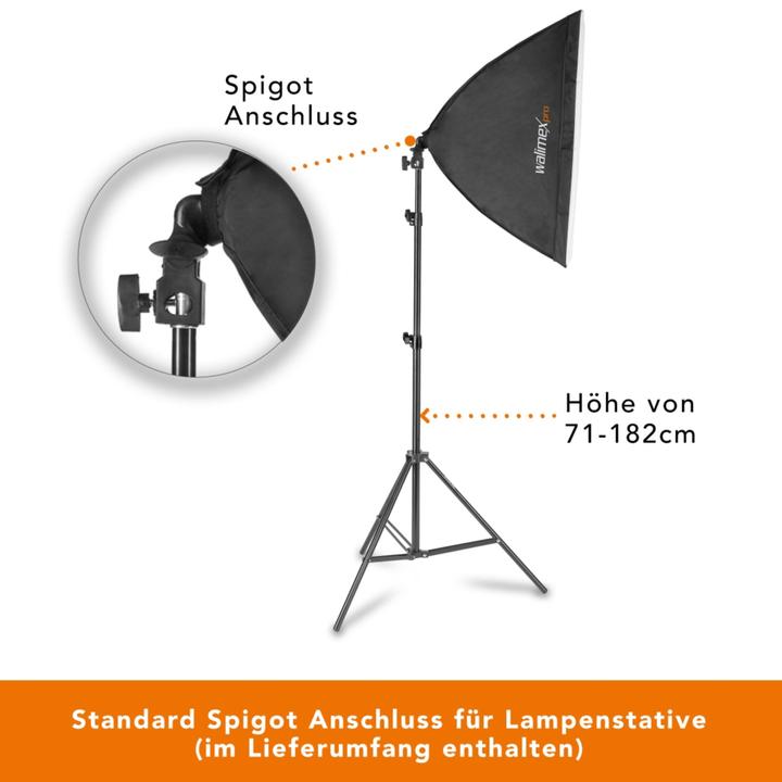 Actual product image Walimex pro 60W Softbox Bi Color Kit 2 (Soft boxes)