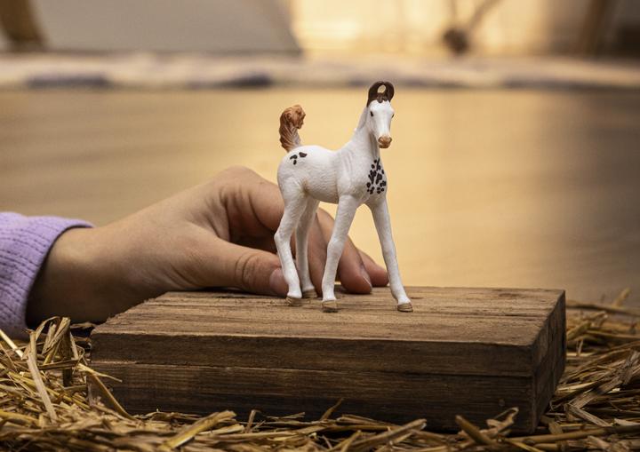 Image du produit Schleich Poulain Marwari
