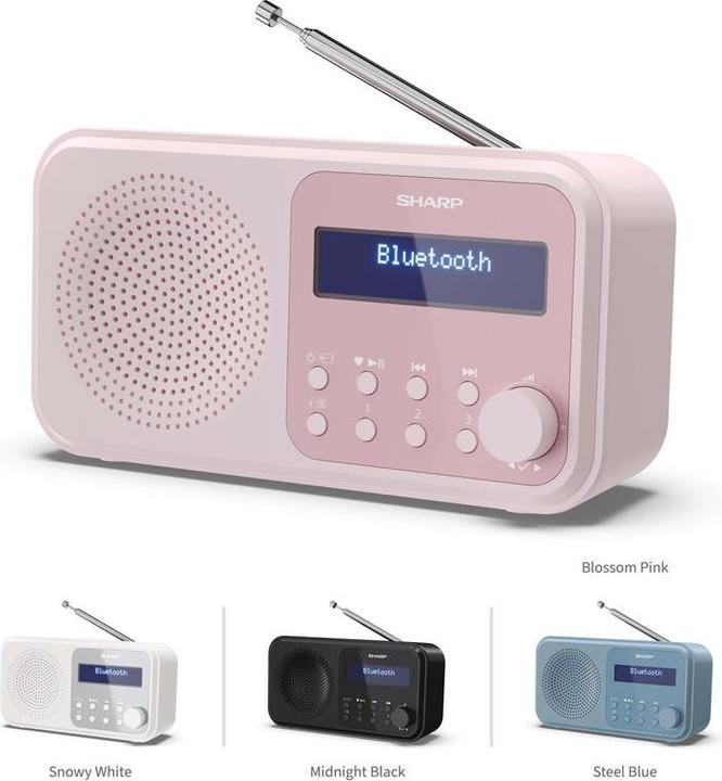 Actual product image Sharp DR-P420 (FM, DAB+, DAB, Bluetooth)