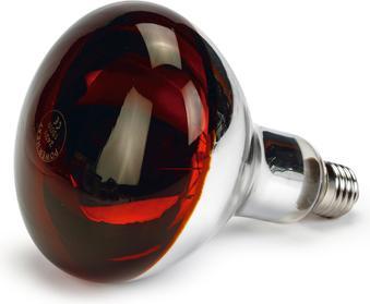 Olba LAMPADA TERMICA A INFRAROSSI R125 150