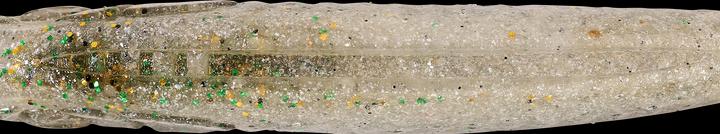 Produktbild Caperlan 332790 (6 cm)