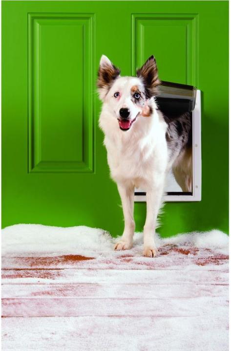 Actual product image PetSafe Extreme Weather Door (Manual cat flap)