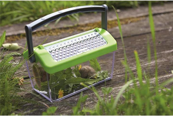 Actual product image Haba Insect Box