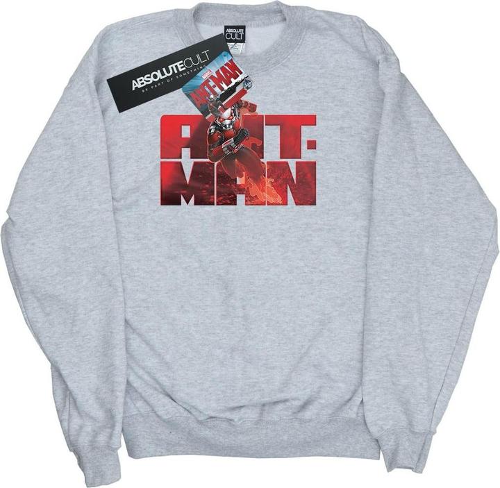 Jungen AntMan LaufSweatshirt