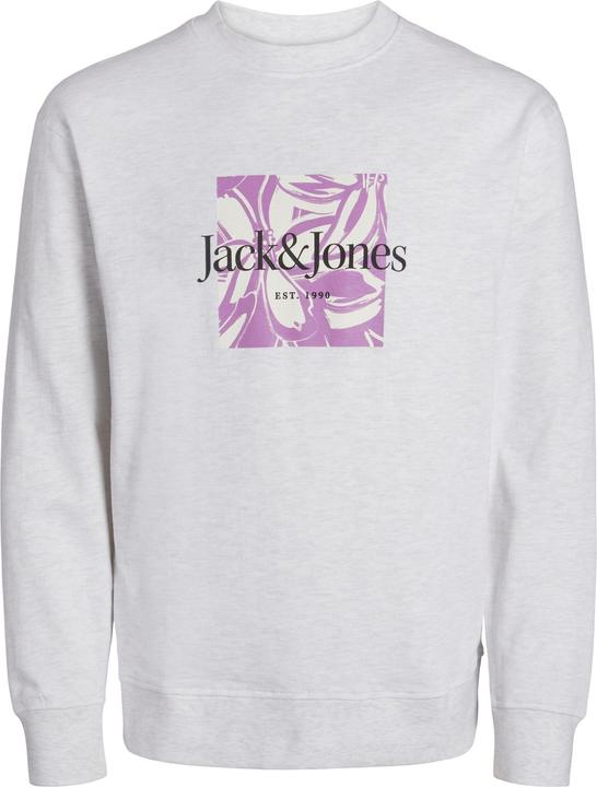 Actual product image Jack & Jones Printed sweatshirt with round neck Sweatshirt with round neck (S)