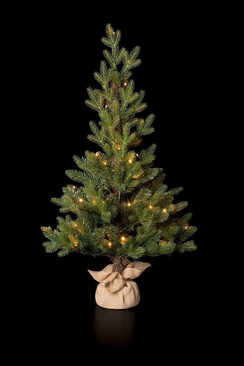 Immagine prodotto STT Albero nordico