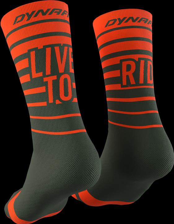Actual product image Dynafit Live To Ride Socks (35 - 38)