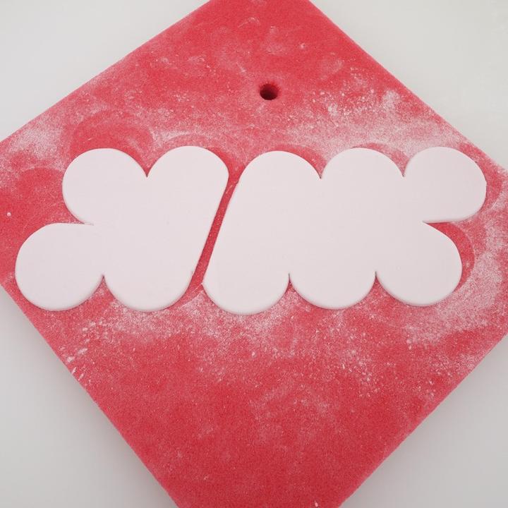 Actual product image Sugarcraft The Easiest Rose Ever