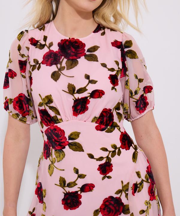 Produktbild Joe Browns Vintage Inspired Devore Rose Mini Dress (16)