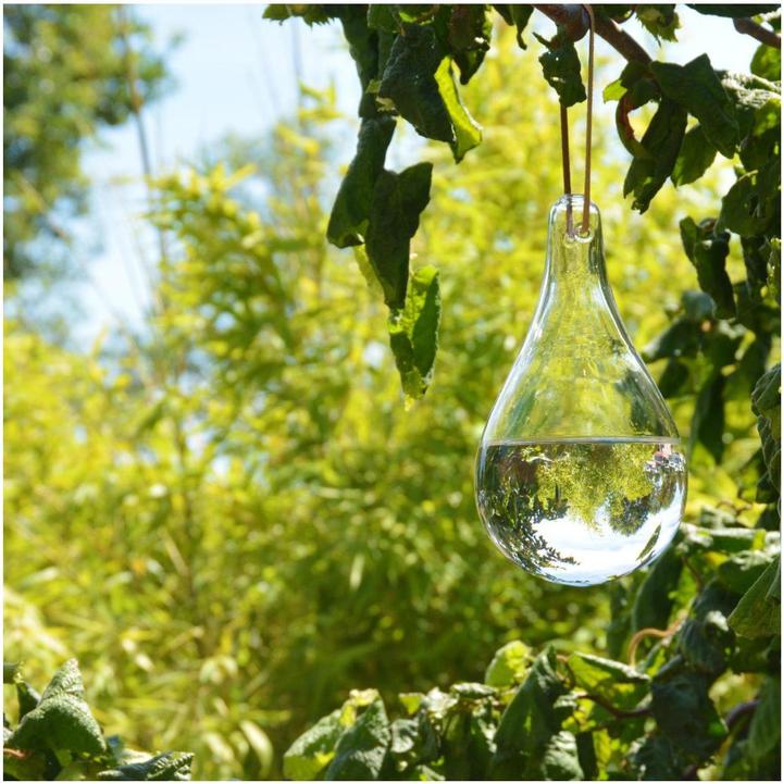 Immagine prodotto Esschert Design Repellente per mosche (825 ml)