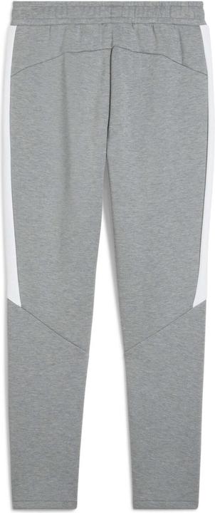 Image du produit Puma teamEVOSTRIPE Pants (M)