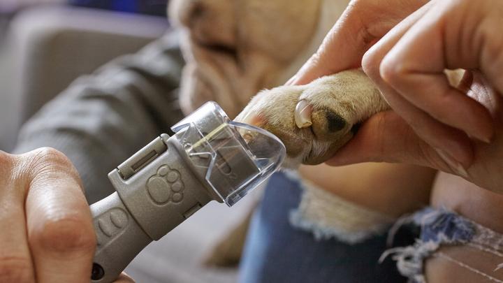 Immagine prodotto Dremel Cura degli artigli degli animali (Cane)