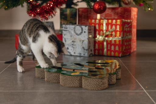 Produktbild Beeztees Weihnachts Kratzspielzeug (Kratzspielzeug Katze)