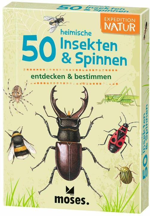 Actual product image 50 native insects & spiders (German)