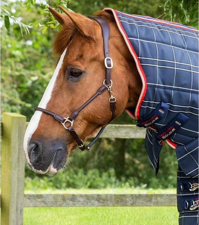 Actual product image Premier Equine Domus 400 g (168 cm)