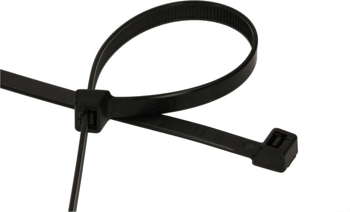 Immagine prodotto Max Hauri Fascetta (Fascette in plastica, 450 mm, 50 pz.)
